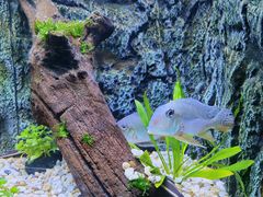 -上海海洋水族馆