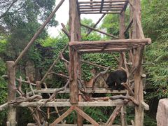 -长鹿旅游休博园