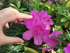 -白塘生态植物园