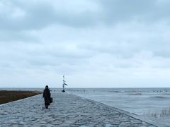 -南汇嘴观海公园