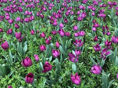 -长春公园(普阳街道)