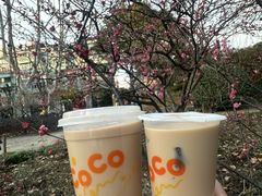 -CoCo都可(虹口龙之梦店)