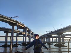 -星海湾跨海大桥