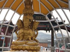 -龙口南山旅游景区