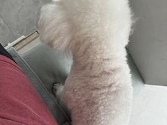 -中农国际动物医院24小时·猫科·骨科·急重症中心