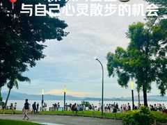 -深圳湾公园(南山区)