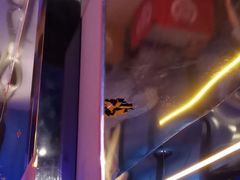 -移动谜城·大笨象密室逃脱(五棵松店)