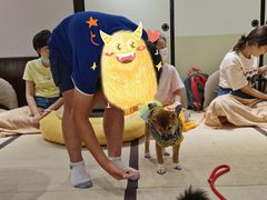 -逗柴咖啡屋·狗咖猫咖宠物桌游