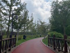 -黄海国家森林公园