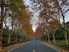-宜兴龙背山森林公园