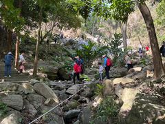 -火炉山森林公园