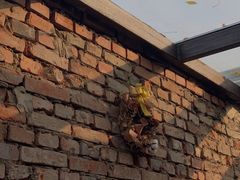 -VOYAGE COFFEE(北锣鼓巷店)