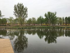 -东郊湿地公园
