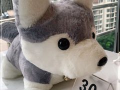 -Husky Go! 哈士奇体验馆·宠物咖啡厅狗咖