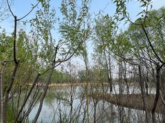 -翠湖国家城市湿地公园