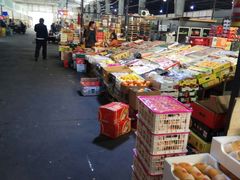 -上海龙吴水胜海发市场