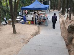 -火炉山森林公园