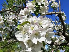 -野鸭湖国家湿地公园