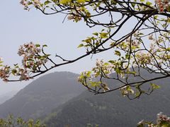 -舒家湾天主教堂