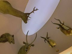 -陕西自然博物馆