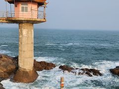 -小麦岛公园