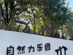 -福田红树林生态公园