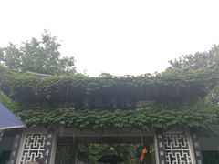 -西湖外事游船(花港观鱼码头)