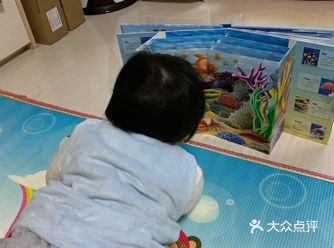 从鲸鲨馆回家后，就给她买了这套书，这是3D自然世界系