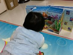 -烟台海昌鲸鲨海洋公园