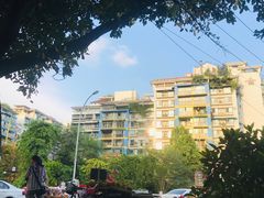 -罗妈砂锅(四川成都奎星楼店)