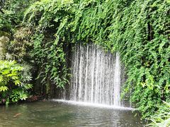 -千岛湖东南湖区