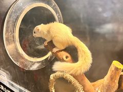 -太平洋海底世界