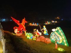 -大塘金香草谷