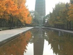 -玲珑塔公园