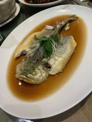 -静安洲际酒店·宴会厅