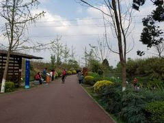 -白鹭湾湿地公园