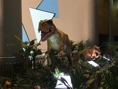 -广东科学中心科技影院