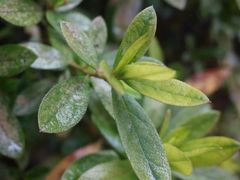 -浙江万里学院(钱湖校区)