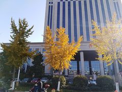 -安阳东站