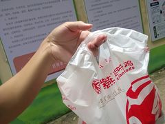 -紫燕百味鸡(南京西路店)