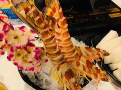 -鲜入围煮花胶鸡海鲜火锅