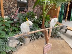 -南宫五洲植物乐园