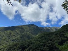 -牛背梁国家森林公园