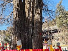 -潭柘寺景区