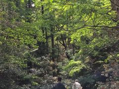 -达蓬山旅游度假区