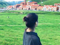 -关山草原