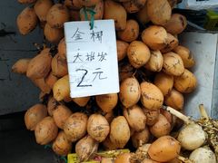 -三亚新鸿港水果一级批发市场