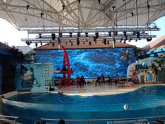 -三亚海昌梦幻海洋不夜城