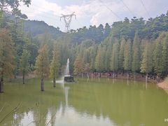 -广州市帽峰山景区