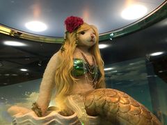 -成都泰迪熊博物馆